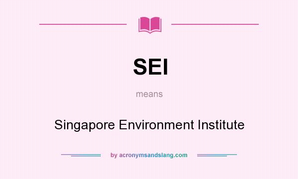 What does SEI mean? It stands for Singapore Environment Institute