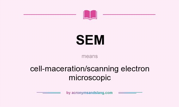 What does SEM mean? It stands for cell-maceration/scanning electron microscopic