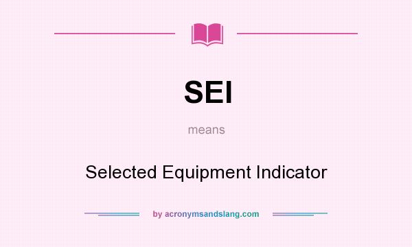 What does SEI mean? It stands for Selected Equipment Indicator