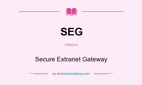 What does SEG mean? It stands for Secure Extranet Gateway