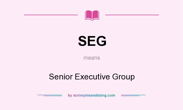 What does SEG mean? It stands for Senior Executive Group