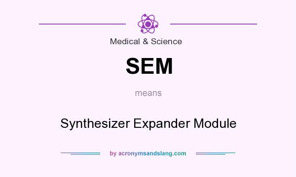 What does SEM mean? It stands for Synthesizer Expander Module