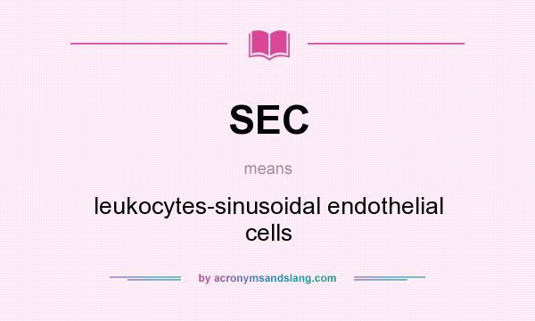 What does SEC mean? It stands for leukocytes-sinusoidal endothelial cells