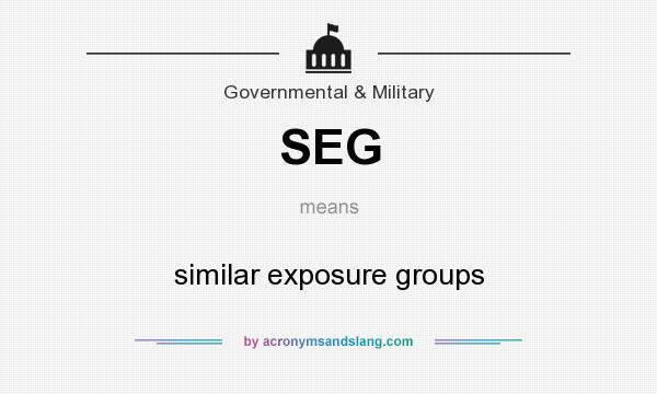 What does SEG mean? It stands for similar exposure groups