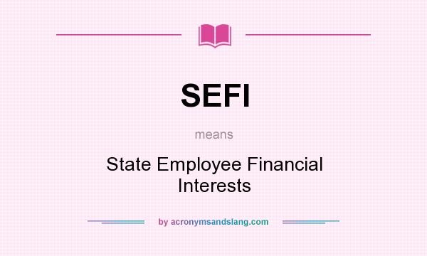 What does SEFI mean? It stands for State Employee Financial Interests