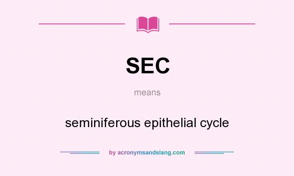 What does SEC mean? It stands for seminiferous epithelial cycle