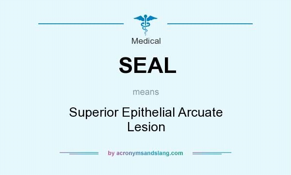 What does SEAL mean? It stands for Superior Epithelial Arcuate Lesion
