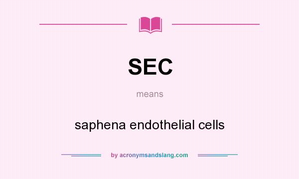 What does SEC mean? It stands for saphena endothelial cells