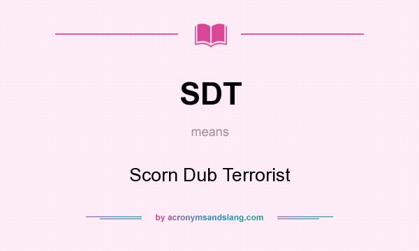 What does SDT mean? It stands for Scorn Dub Terrorist