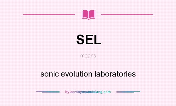 What does SEL mean? It stands for sonic evolution laboratories