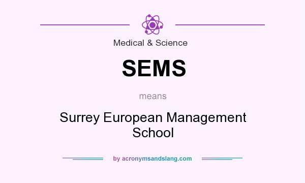 What does SEMS mean? It stands for Surrey European Management School