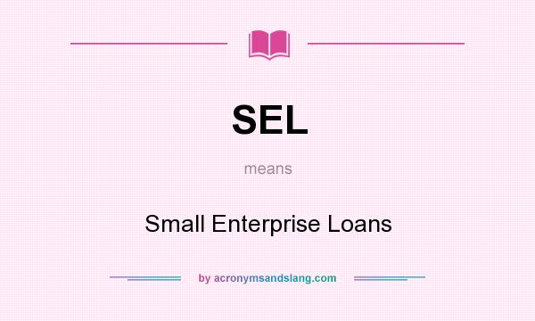 What does SEL mean? It stands for Small Enterprise Loans