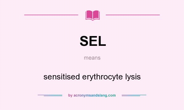What does SEL mean? It stands for sensitised erythrocyte lysis