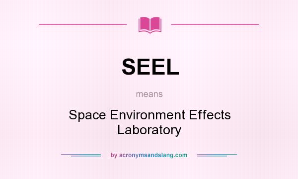 What does SEEL mean? It stands for Space Environment Effects Laboratory
