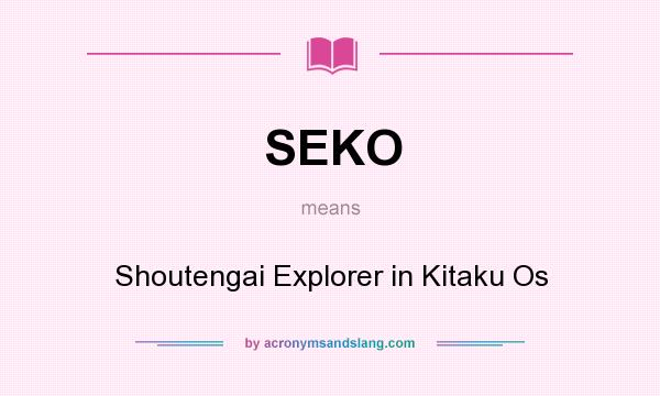 What does SEKO mean? It stands for Shoutengai Explorer in Kitaku Os