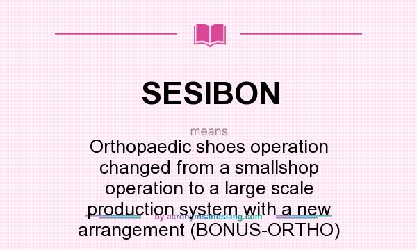 What does SESIBON mean? It stands for Orthopaedic shoes operation changed from a smallshop operation to a large scale production system with a new arrangement (BONUS-ORTHO)