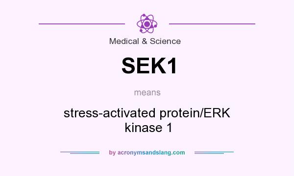 What does SEK1 mean? It stands for stress-activated protein/ERK kinase 1