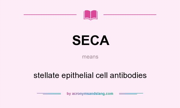 What does SECA mean? It stands for stellate epithelial cell antibodies