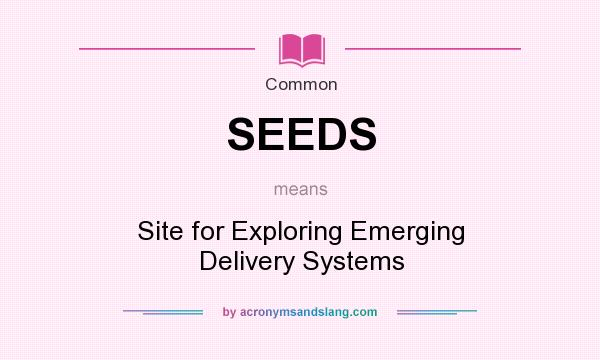 What does SEEDS mean? It stands for Site for Exploring Emerging Delivery Systems