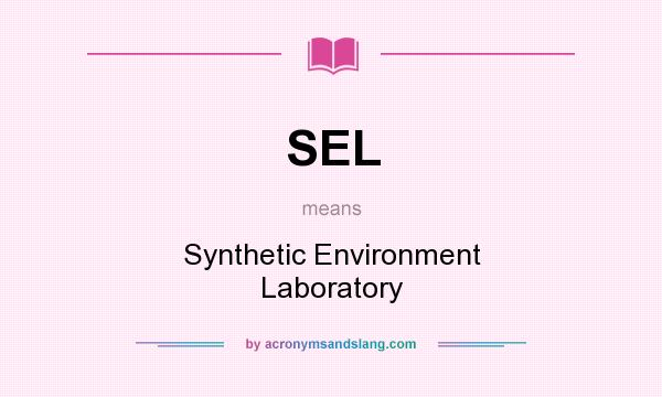 What does SEL mean? It stands for Synthetic Environment Laboratory