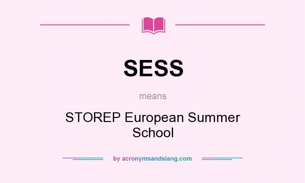 What does SESS mean? It stands for STOREP European Summer School