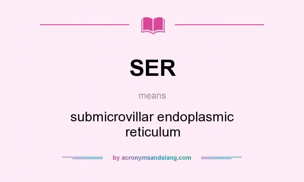 What does SER mean? It stands for submicrovillar endoplasmic reticulum
