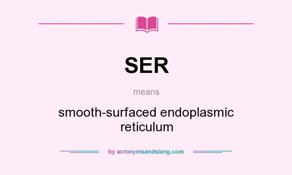 What does SER mean? It stands for smooth-surfaced endoplasmic reticulum