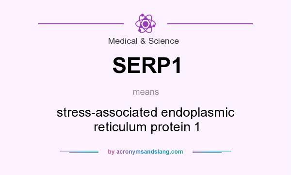 What does SERP1 mean? It stands for stress-associated endoplasmic reticulum protein 1