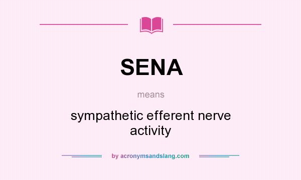 What does SENA mean? It stands for sympathetic efferent nerve activity
