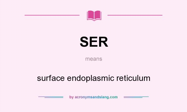 What does SER mean? It stands for surface endoplasmic reticulum