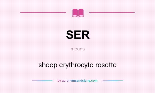 What does SER mean? It stands for sheep erythrocyte rosette