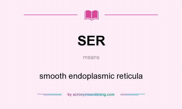 What does SER mean? It stands for smooth endoplasmic reticula