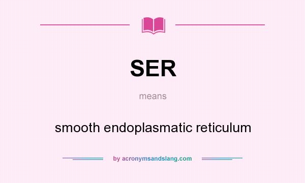 What does SER mean? It stands for smooth endoplasmatic reticulum