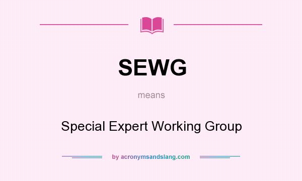What does SEWG mean? It stands for Special Expert Working Group