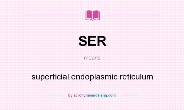 What does SER mean? It stands for superficial endoplasmic reticulum