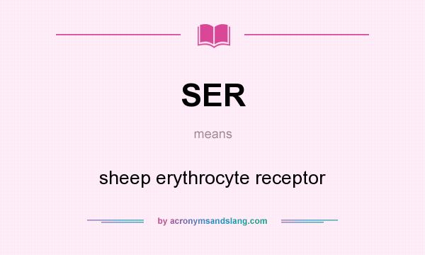 What does SER mean? It stands for sheep erythrocyte receptor