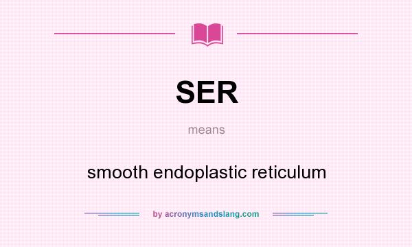What does SER mean? It stands for smooth endoplastic reticulum