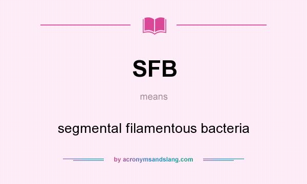 What does SFB mean? It stands for segmental filamentous bacteria