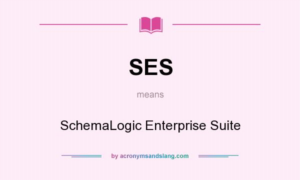 What does SES mean? It stands for SchemaLogic Enterprise Suite