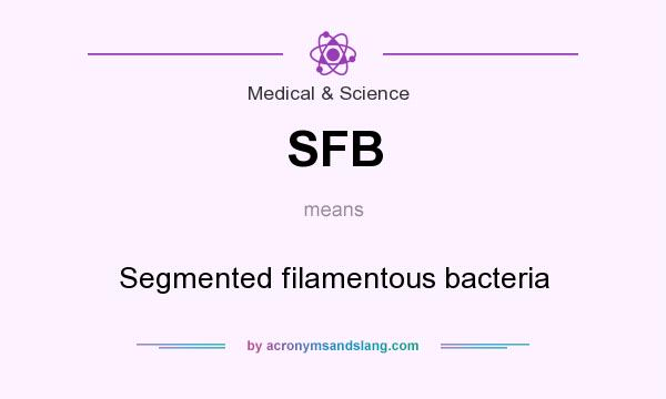 What does SFB mean? It stands for Segmented filamentous bacteria