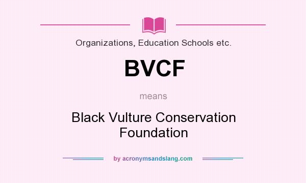 What does BVCF mean? It stands for Black Vulture Conservation Foundation