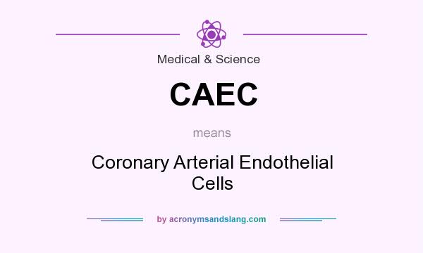 What does CAEC mean? It stands for Coronary Arterial Endothelial Cells