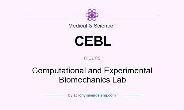 What does CEBL mean? It stands for Computational and Experimental Biomechanics Lab