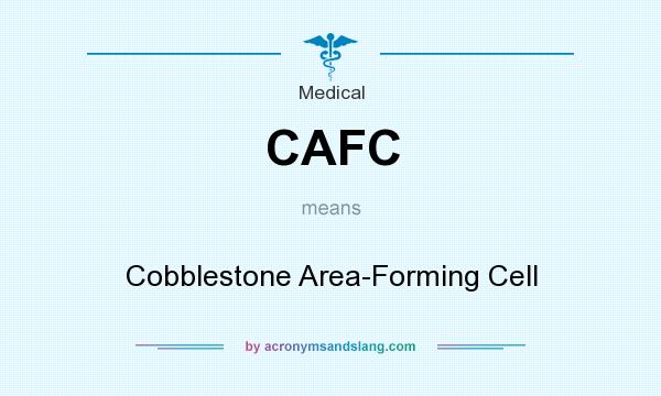 What does CAFC mean? It stands for Cobblestone Area-Forming Cell
