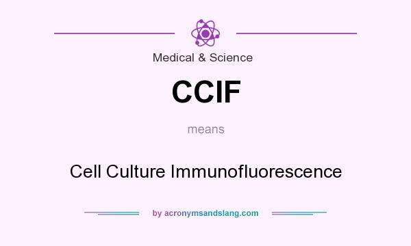 What does CCIF mean? It stands for Cell Culture Immunofluorescence