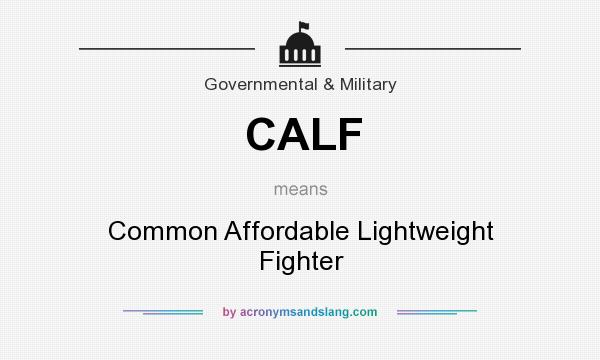 What does CALF mean? It stands for Common Affordable Lightweight Fighter