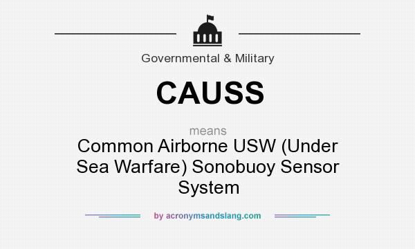 What does CAUSS mean? It stands for Common Airborne USW (Under Sea Warfare) Sonobuoy Sensor System