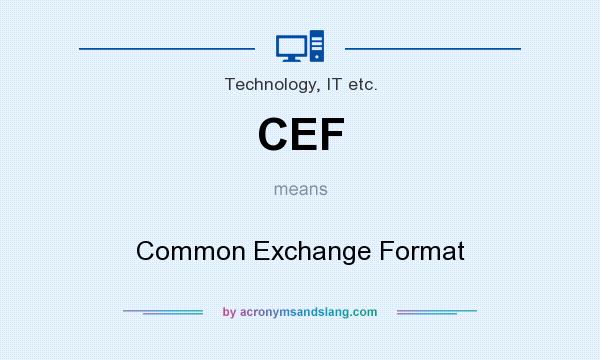 What does CEF mean? It stands for Common Exchange Format