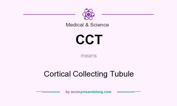 What does CCT mean? It stands for Cortical Collecting Tubule