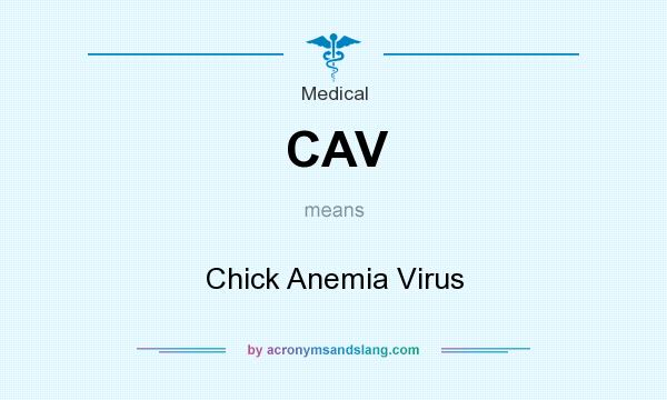 What does CAV mean? It stands for Chick Anemia Virus